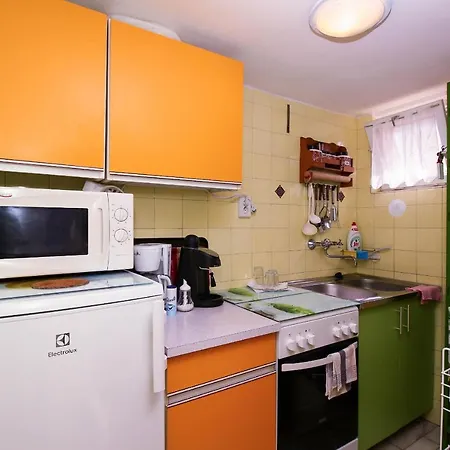 103 - Vizkozeli Kutyabarat Ikerhazfel Apartament Balatonszarszo